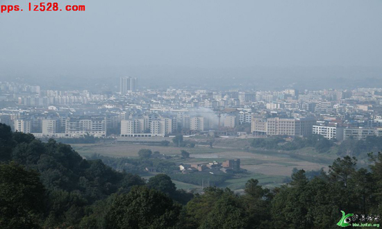 泸县发力&nbsp;“瞄准”国家级卫生县城、省级园林县城(图10)