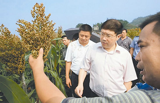 民生优先 绘出美好新宜宾(图3) 民生优先 绘出美好新宜宾(图3)