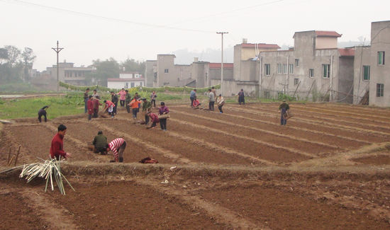 太伏镇:科技治旱情 育苗保春耕(图1) 太伏镇:科技治旱情 育苗保春耕(图1)