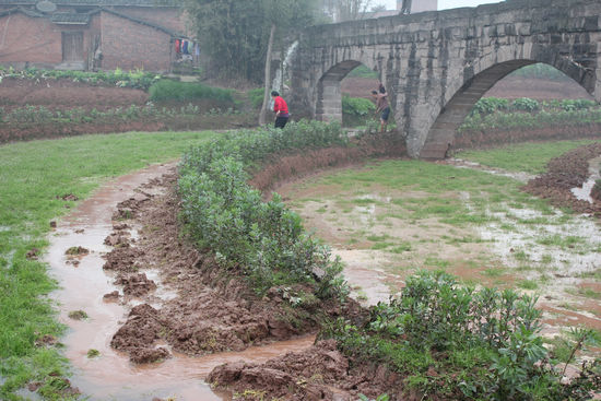 泸州市泸县喻寺镇：大兴农田水利建设促春耕(图3)