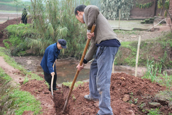 泸州市泸县喻寺镇：大兴农田水利建设促春耕(图2)