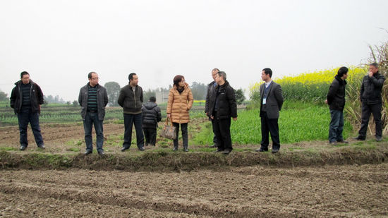 四川省农业厅领导莅临通滩镇指导抗旱减灾工作(图1)