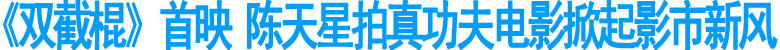 《双截棍》首映&nbsp;陈天星拍真功夫电影掀起影市新风