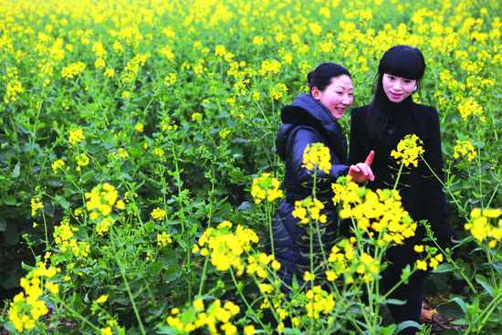泸州:"百里江湾·花开盛世"踏青节成江阳形象新名片(图1)