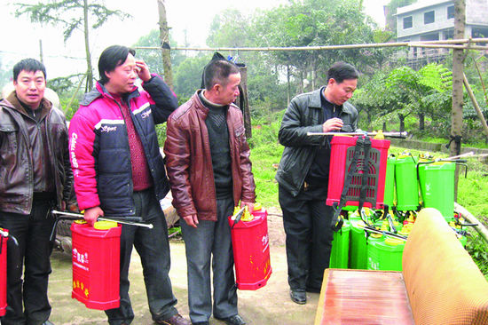 泸州：邻玉农民专合社&nbsp;助农抱团闯市场(图1)