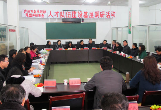 巫俊明、周亚琼到泸县奇峰镇调研党外人才队伍建设(图1)