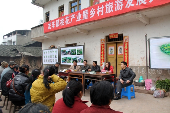 龙车镇：讲措施、明规划，壮大桂花产业助民富(图2)