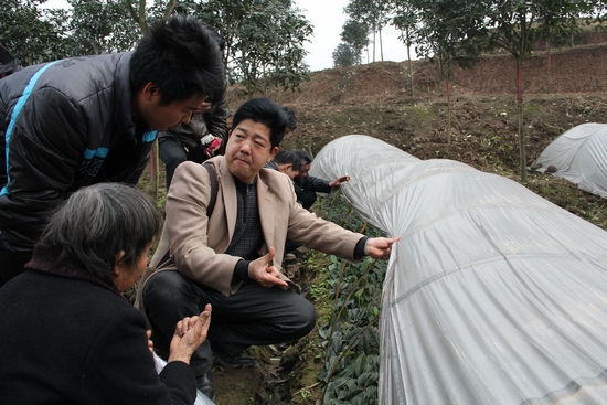 龙车镇：讲措施、明规划，壮大桂花产业助民富(图3)