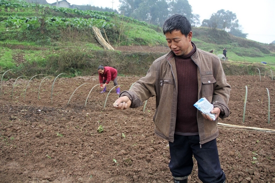 龙车镇：现场指导育苗，为高梁种植户把关(图2)