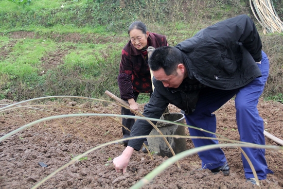 龙车镇：现场指导育苗，为高梁种植户把关(图1)