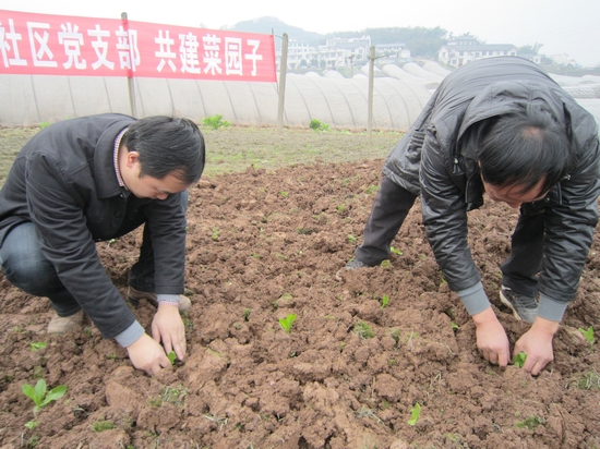 华阳街道:党建搭台 实现城乡共融(图2) 华阳街道:党建搭台 实现城乡共融(图2)