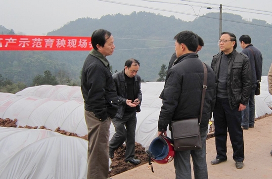 五通镇:高产示范育秧现场会 奏响增产增收新乐章(图2) 五通镇:高产示范育秧现场会 奏响增产增收新乐章(图2)