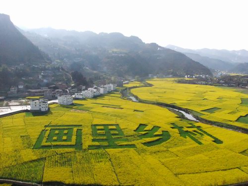 4月6日&nbsp;2012年中国古蔺双沙菜花旅游开放月将启动(图1)