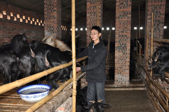 泸州云锦镇：一个90后小伙的“致富经”(图1)