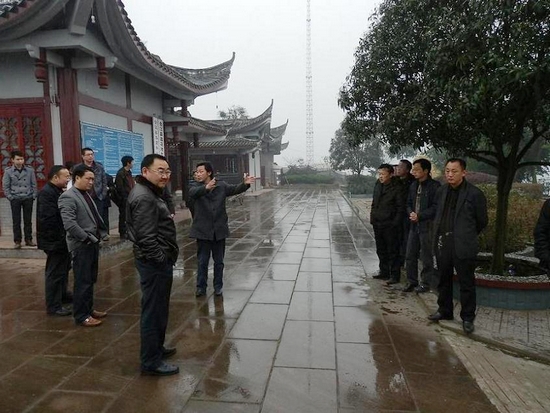 大桥镇：合江县领导来镇调研新农村建设(图1)