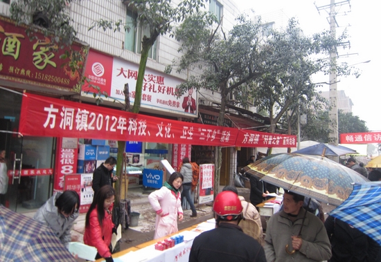 方洞镇：深入开展“三下乡”活动(图1)