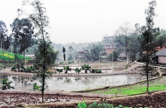 内江“田坎水利”：农田水利建设的新探索(图1)