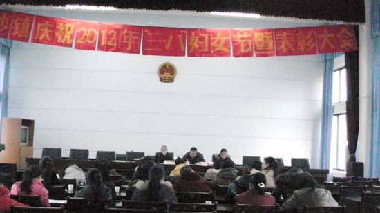 白沙镇：隆重庆祝“三八”妇女节(图1)