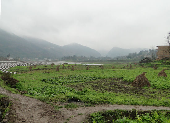 叙永：五代同堂贺百岁寿星(图5)