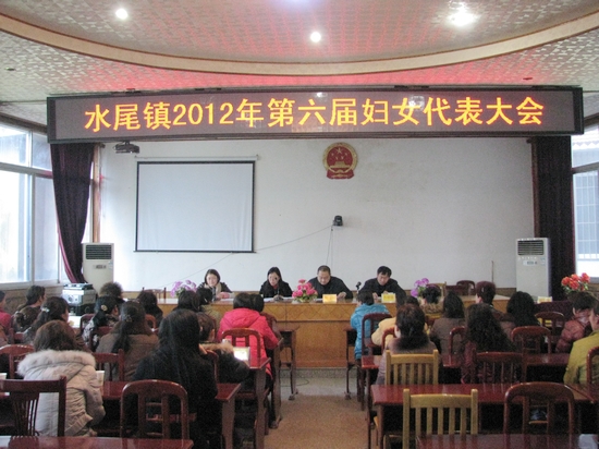 水尾镇:圆满完成村级妇代会换届选举工作(图2) 水尾镇:圆满完成村级妇代会换届选举工作(图2)