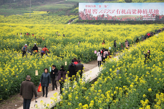 泸州江阳区踏青节带来"蝴蝶效应"&nbsp;9天收入超过700万(图1)