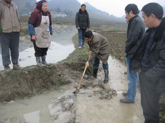 摩尼镇:土地收入翻番 联盟村放田种烟掀热潮(图2) 摩尼镇:土地收入翻番 联盟村放田种烟掀热潮(图2)