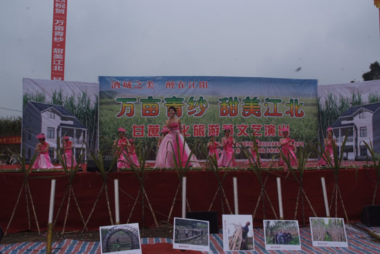 泸州：万亩青纱醉远客&nbsp;甜美江北欢迎你(图7)