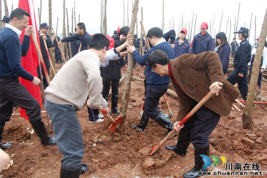 &nbsp;泸州青年掀起植树热(图5)