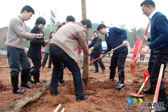 &nbsp;泸州青年掀起植树热(图1)