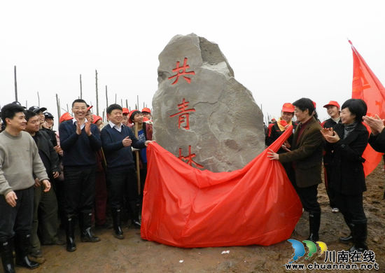 &nbsp;泸州青年掀起植树热(图4)