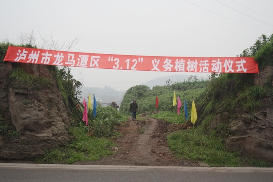 罗汉镇：种下绿树&nbsp;关爱自然(图1)