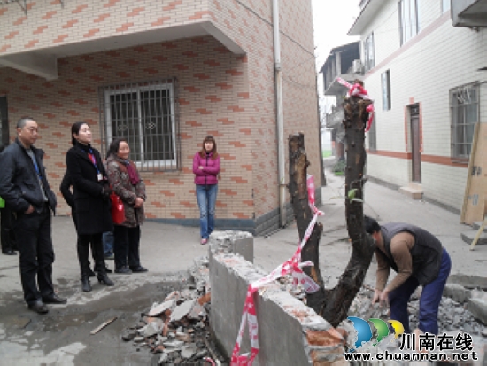 罗汉镇：“闲人”&nbsp;周“大姐”(图1)