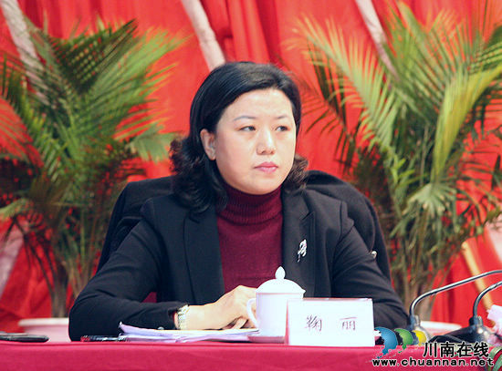 刘国强：建设川滇黔渝结合部文化强市是历史重任(图13)