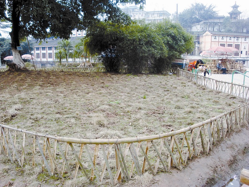 变遛狗场和农场&nbsp;宜宾城市绿地伤不起(图1)