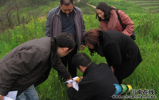 泰安镇：三举措保退耕还林补植补造工作&nbsp;顺利推进(图1)