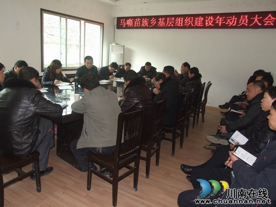 马嘶乡：召开“基层组织建设年”动员大会(图1)