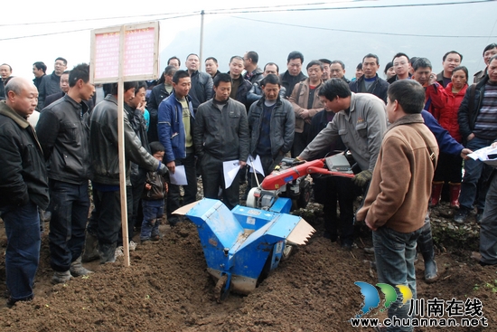 叙永种植烤烟10.2万亩&nbsp;计划实现产值3亿元(图3)