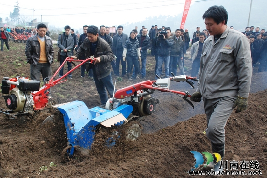 叙永种植烤烟10.2万亩&nbsp;计划实现产值3亿元(图5)