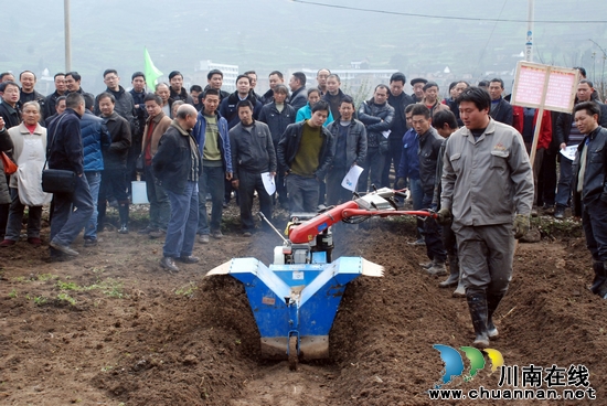 叙永种植烤烟10.2万亩&nbsp;计划实现产值3亿元(图4)