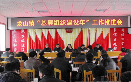 龙山镇：召开“基础党组织建设年”推进会(图1)