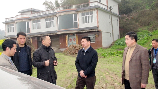 泸州:江阳区区长付小平到通滩镇调研农业发展工作(图7)