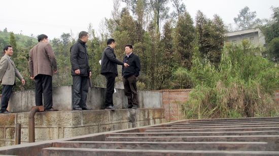 泸州:江阳区区长付小平到通滩镇调研农业发展工作(图6)