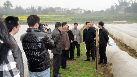 泸州:江阳区区长付小平到通滩镇调研农业发展工作(图2)