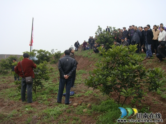 白米乡：果园听讲课&nbsp;&nbsp;农民乐呵呵(图1)