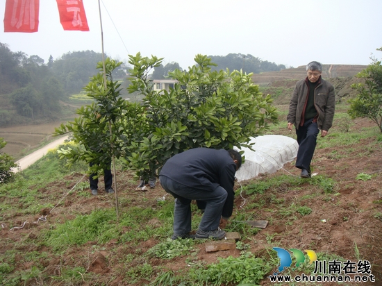 白米乡：果园听讲课&nbsp;&nbsp;农民乐呵呵(图2)