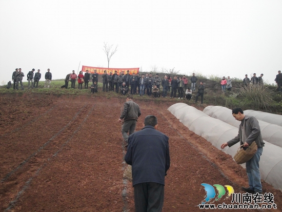 海潮镇：创业交流会助农村青年致富(图1)