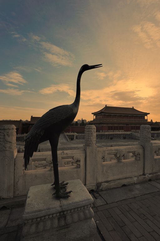 到故宫俯瞰天下&nbsp;穿越古今(图8)