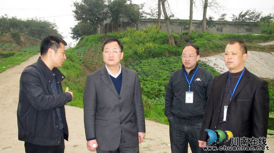 陈廷俊深入通滩镇调研产业发展工作