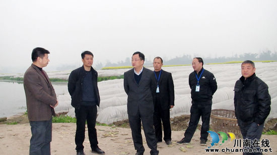 陈廷俊深入通滩镇调研产业发展工作(图1)