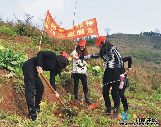 云锦镇：学雷锋&nbsp;添新绿(图2)